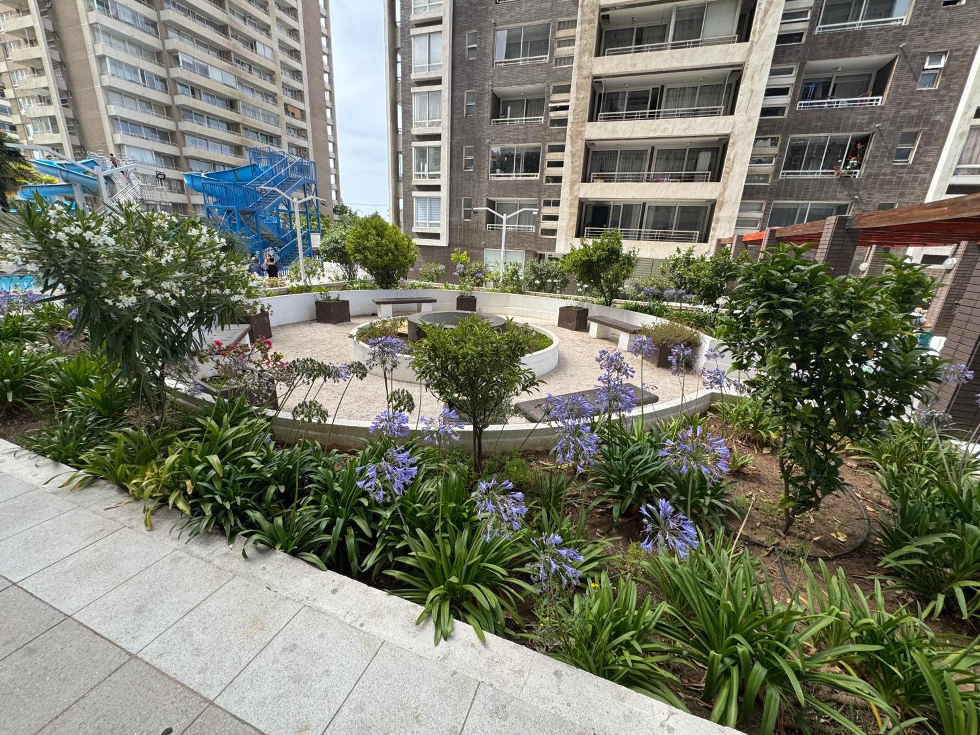 Beltran - Centro Viña del Mar